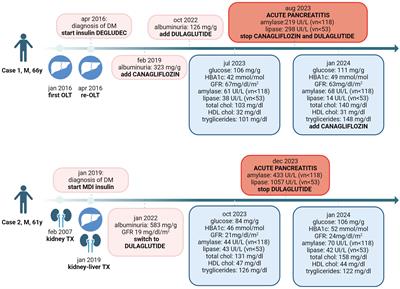 Case report: GLP1RA for the treatment of diabetes in liver transplanted people. Do they increase the risk of pancreatitis?